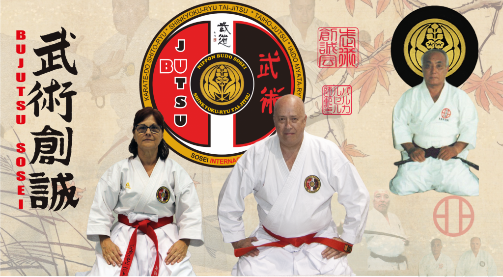 Tai Ho Ryu Entrenando Taiho Jutsu – Grillete Rígido – Bujutsu Sosei Internacional